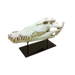 Oly Studio - Faux Crocodile