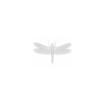 Oly Studio - Ornament, Dragonfly Frost White