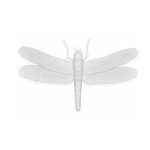 Oly Studio - Ornament, Luna Moth Frost White