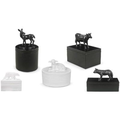 Oly Studio - Fable Box