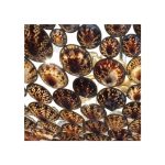 Oly Studio - Syrenka Chandelier