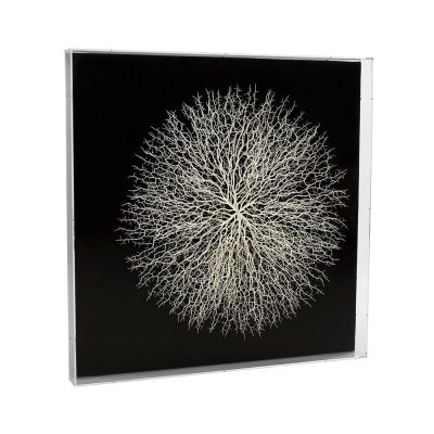 Abstract Branches in Acrylic Wall Art