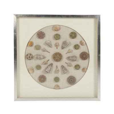 Abstract Shell Wall Art