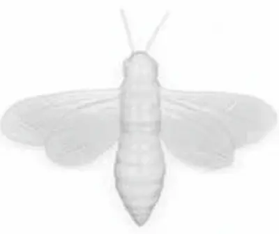 Oly Studio - Ornament, Bee Frost White